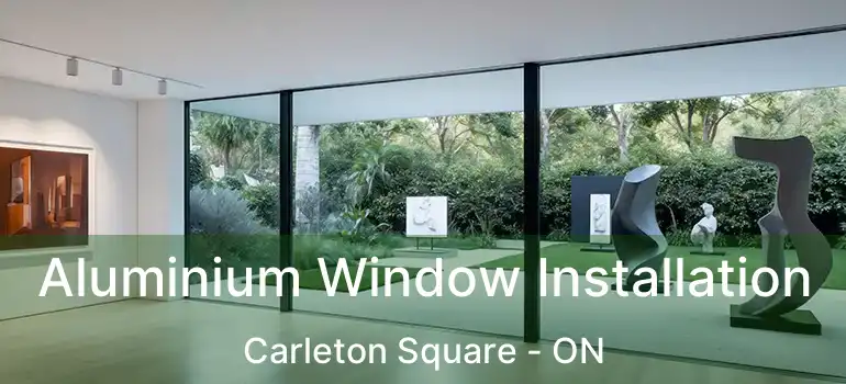  Aluminium Window Installation Carleton Square - ON