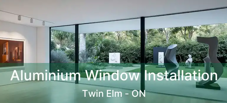  Aluminium Window Installation Twin Elm - ON