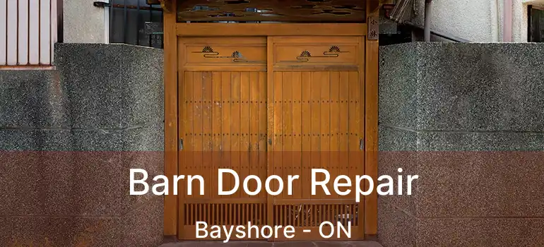  Barn Door Repair Bayshore - ON