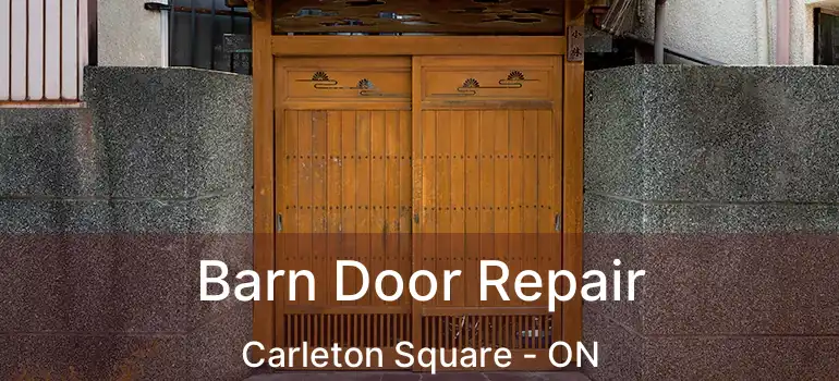  Barn Door Repair Carleton Square - ON