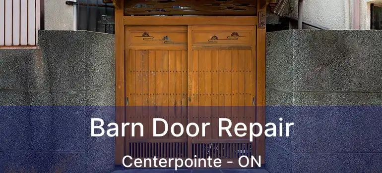  Barn Door Repair Centerpointe - ON