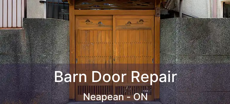 Barn Door Repair Neapean - ON