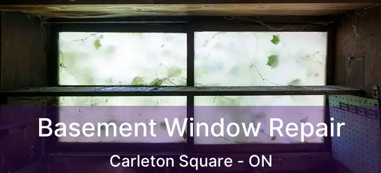  Basement Window Repair Carleton Square - ON