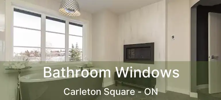  Bathroom Windows Carleton Square - ON