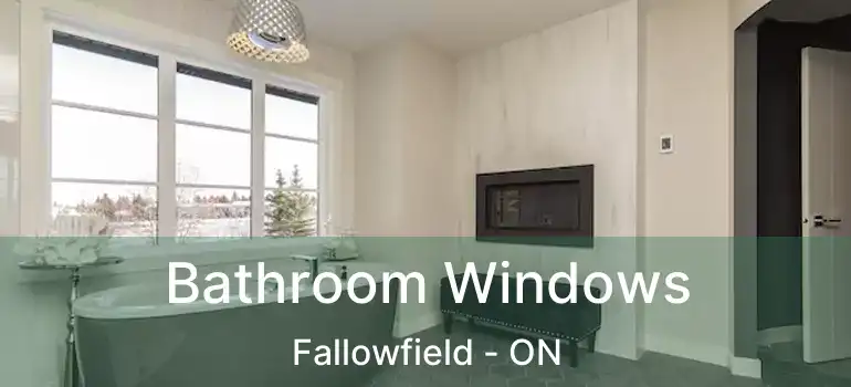  Bathroom Windows Fallowfield - ON