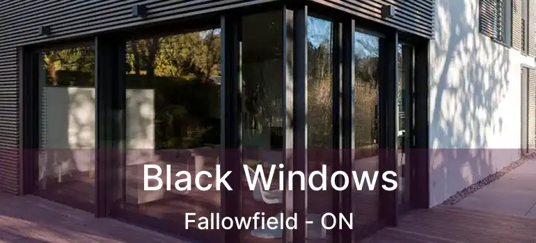  Black Windows Fallowfield - ON