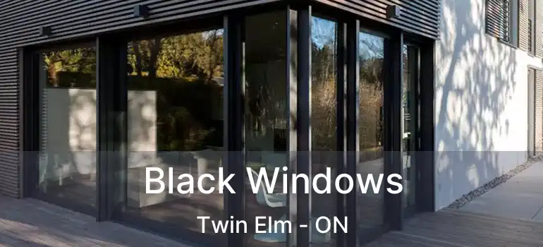  Black Windows Twin Elm - ON