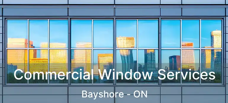  Commercial Window Services Bayshore - ON