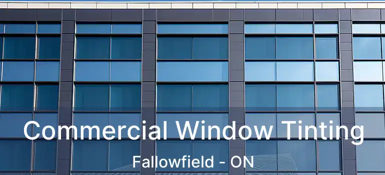  Commercial Window Tinting Fallowfield - ON