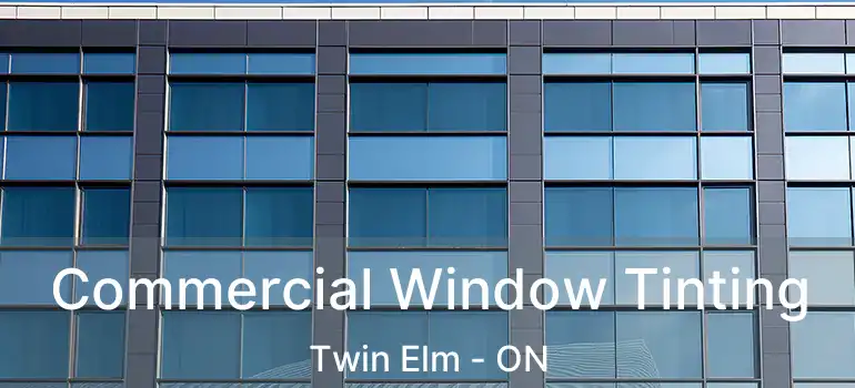  Commercial Window Tinting Twin Elm - ON