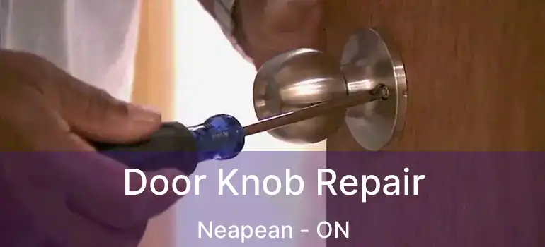 Door Knob Repair Neapean - ON