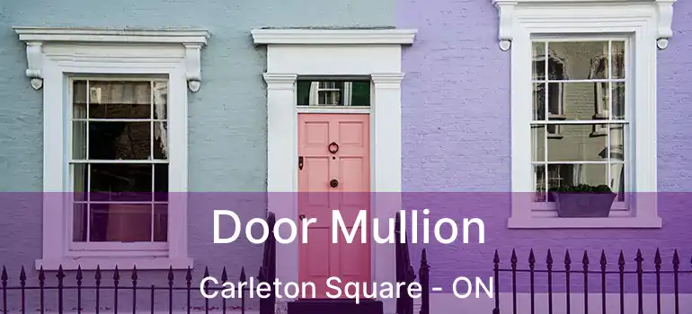  Door Mullion Carleton Square - ON