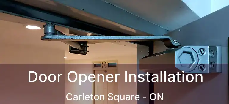  Door Opener Installation Carleton Square - ON