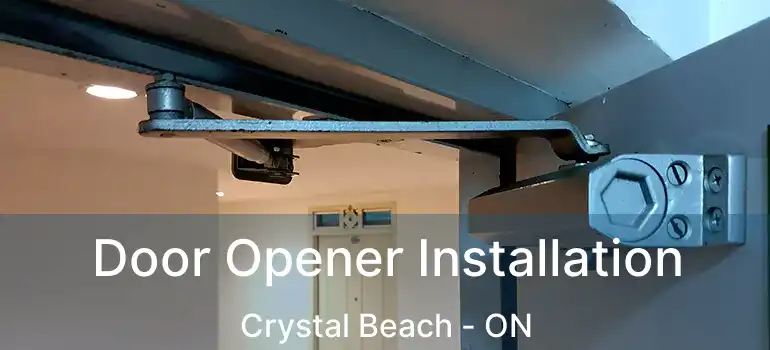  Door Opener Installation Crystal Beach - ON