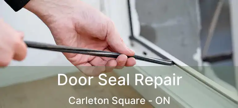  Door Seal Repair Carleton Square - ON