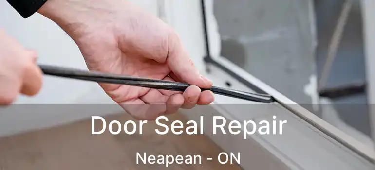 Door Seal Repair Neapean - ON