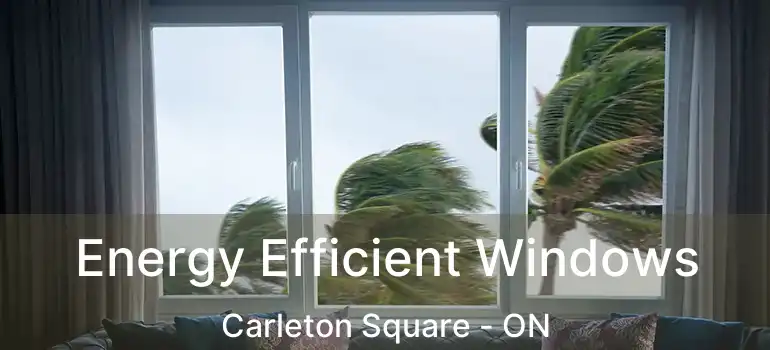  Energy Efficient Windows Carleton Square - ON