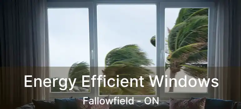  Energy Efficient Windows Fallowfield - ON
