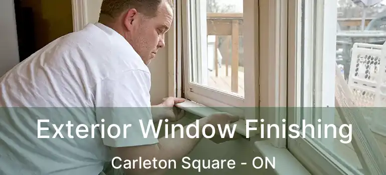  Exterior Window Finishing Carleton Square - ON