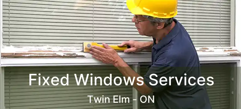  Fixed Windows Services Twin Elm - ON