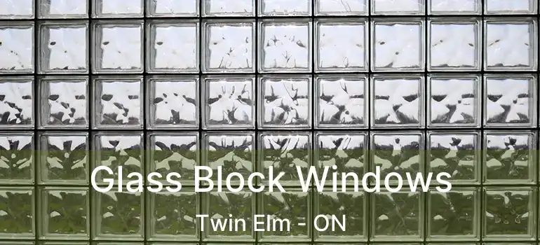  Glass Block Windows Twin Elm - ON