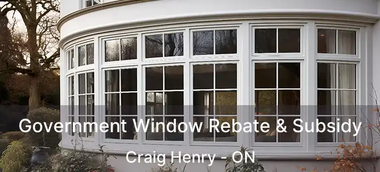  Government Window Rebate & Subsidy Craig Henry - ON