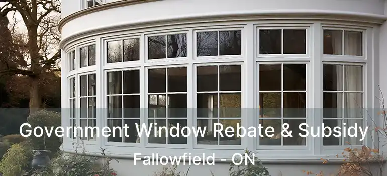  Government Window Rebate & Subsidy Fallowfield - ON