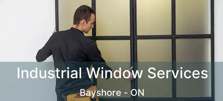  Industrial Window Services Bayshore - ON