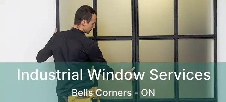  Industrial Window Services Bells Corners - ON