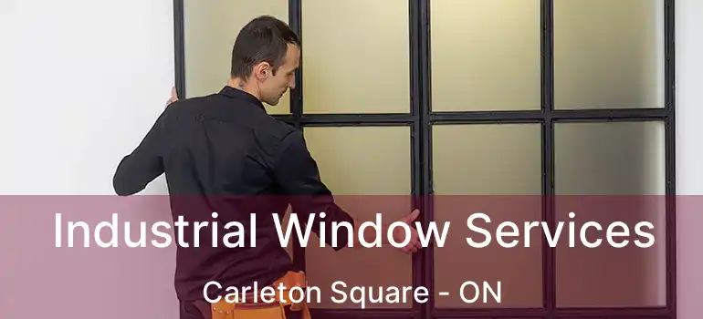 Industrial Window Services Carleton Square - ON