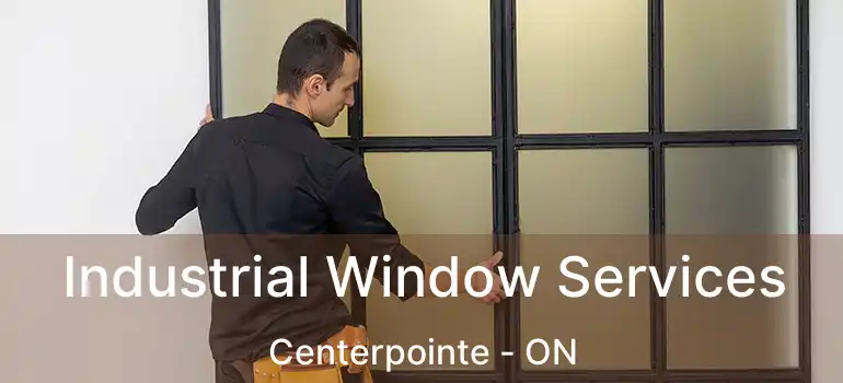  Industrial Window Services Centerpointe - ON