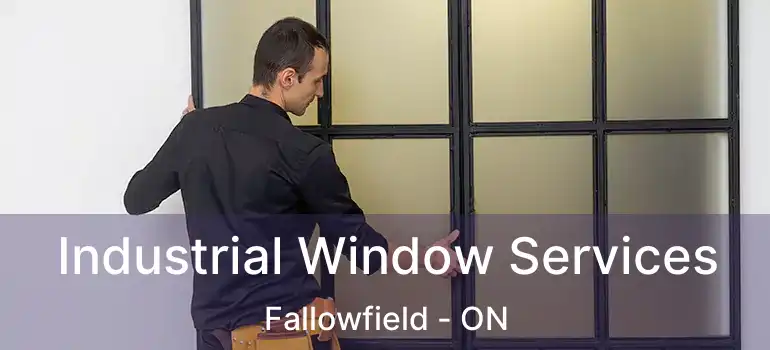  Industrial Window Services Fallowfield - ON