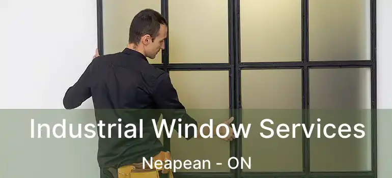 Industrial Window Services Neapean - ON