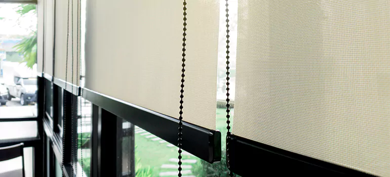 Blackout Window Shades in Craig Henry, Ontario