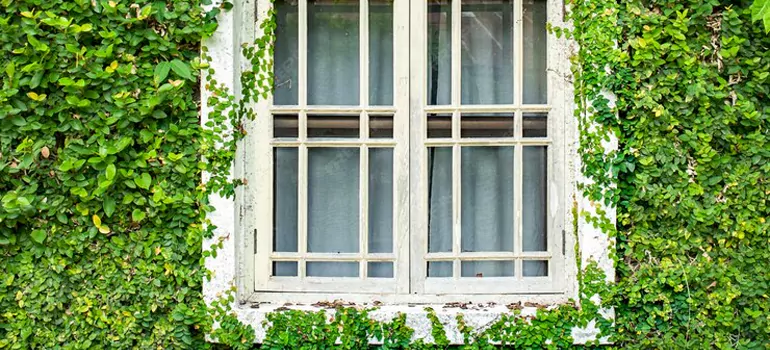 Garden Window Repair Near Me in Jockvale, ON