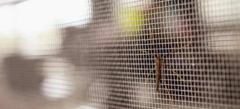Repair Mosquito Mesh For Windows in Jockvale, Ontario