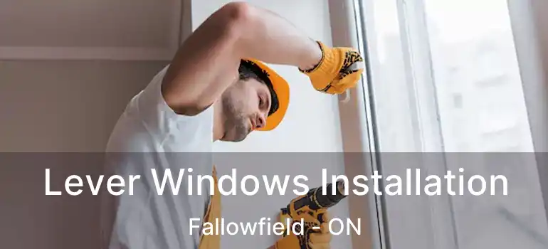  Lever Windows Installation Fallowfield - ON