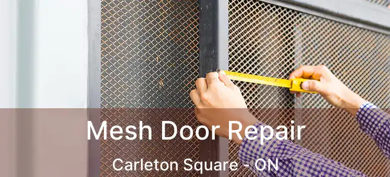  Mesh Door Repair Carleton Square - ON