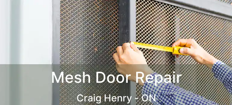  Mesh Door Repair Craig Henry - ON