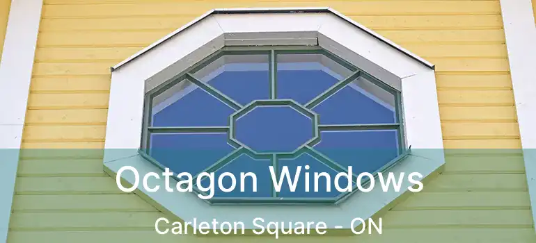  Octagon Windows Carleton Square - ON