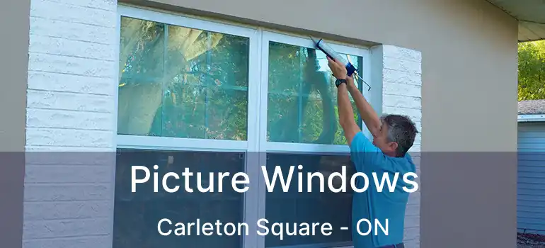 Picture Windows Carleton Square - ON