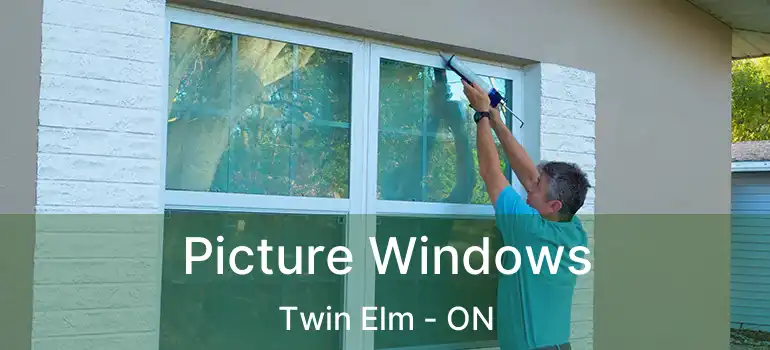  Picture Windows Twin Elm - ON