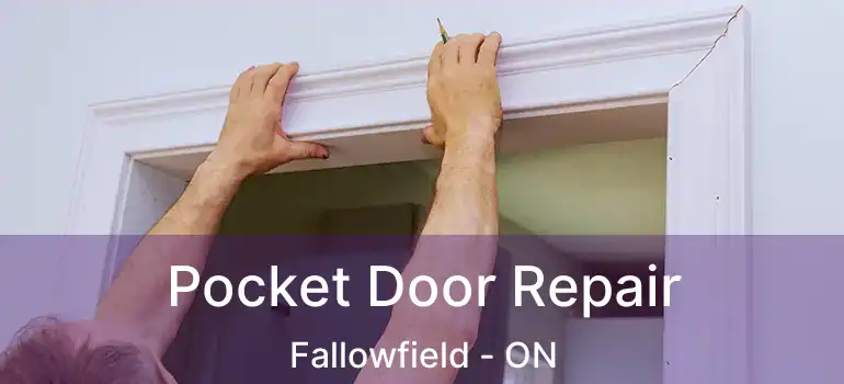 Pocket Door Repair Fallowfield - ON