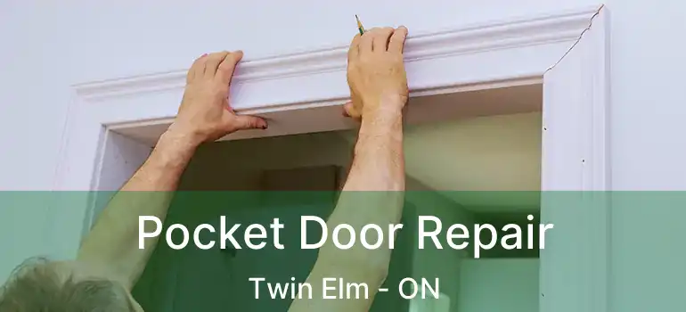  Pocket Door Repair Twin Elm - ON