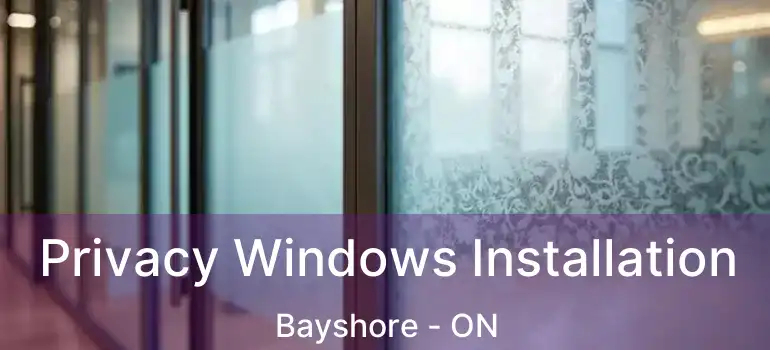 Privacy Windows Installation Bayshore - ON
