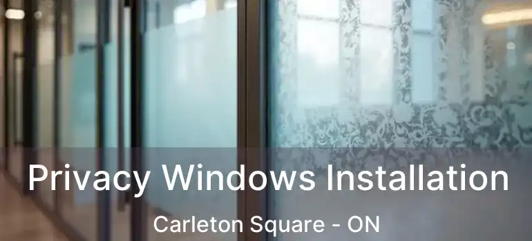 Privacy Windows Installation Carleton Square - ON