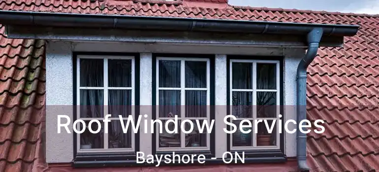  Roof Window Services Bayshore - ON