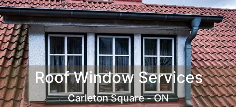  Roof Window Services Carleton Square - ON