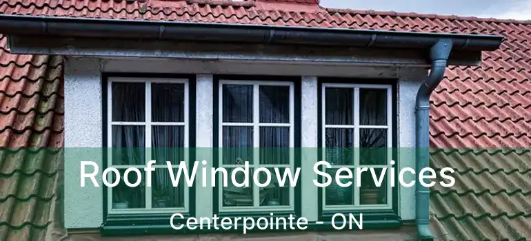  Roof Window Services Centerpointe - ON
