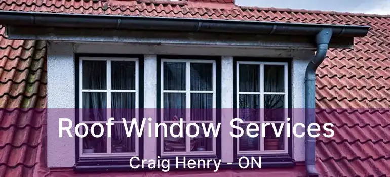  Roof Window Services Craig Henry - ON